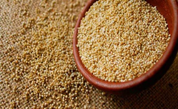 Quinoa em Grão - à Granel  100g