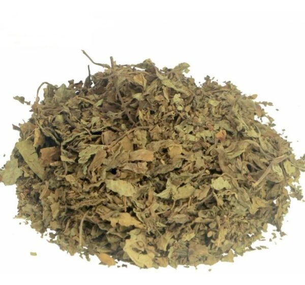 Erva Java - Embalagem com 30gr